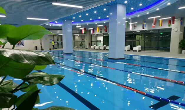 游泳館應該判斷水質是否達標的方法,瑞地格樂