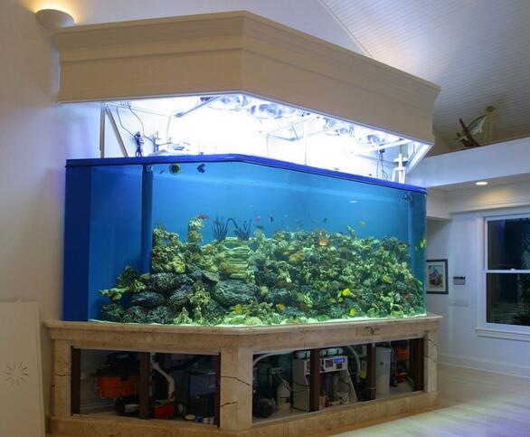 亞克力魚缸搬運要注意什么,瑞地格樂亞克力游泳池