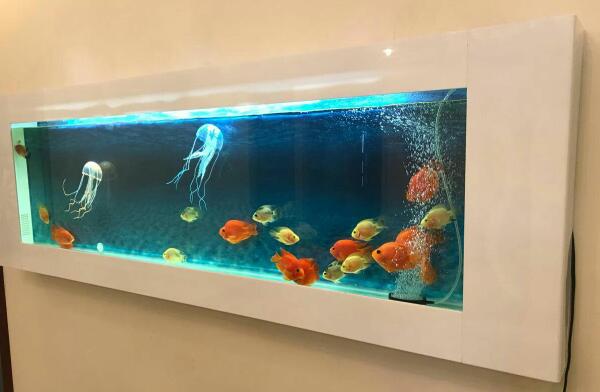 玻璃魚缸好還是亞克力魚缸好?瑞地格樂亞克力游泳池