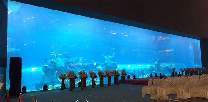 亞克力海洋館設(shè)計要注意的細節(jié),瑞地格樂亞克力游泳池