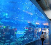 如何設(shè)計有吸引力的海洋館工程？